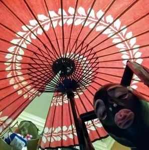 Meet your Posher, Dean